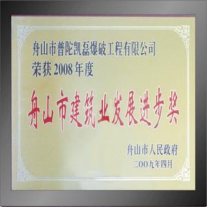 建筑业发展进步奖